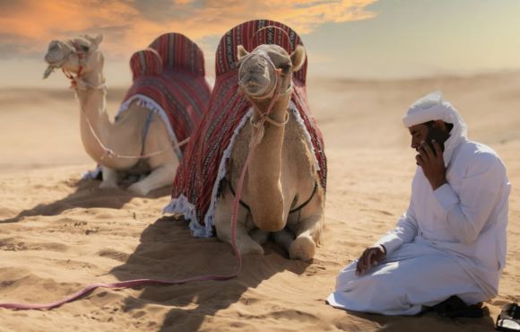 Dubai Desert Safari Without Dune Bashing